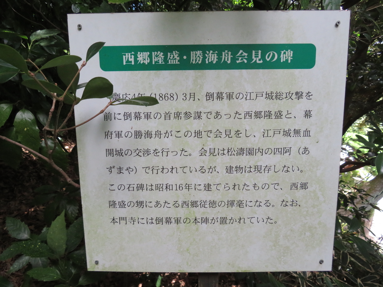 画像を等倍で表示します 画像