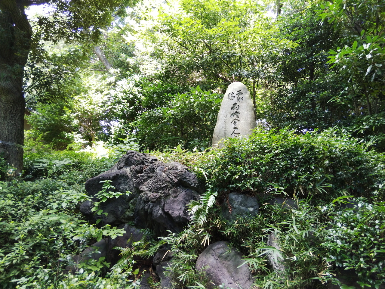 画像を等倍で表示します 画像