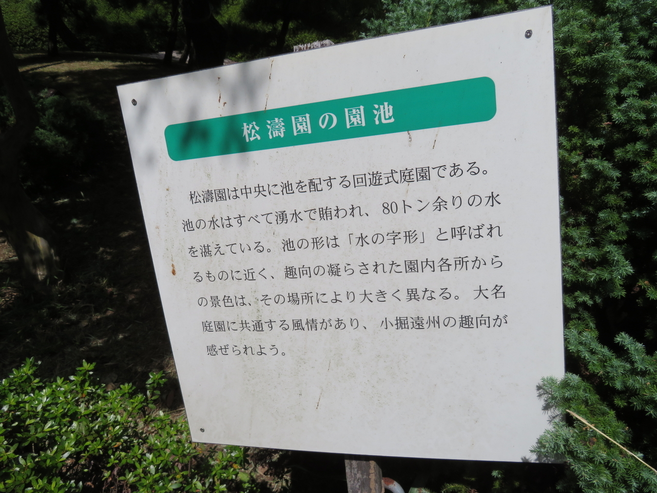 画像を等倍で表示します 画像
