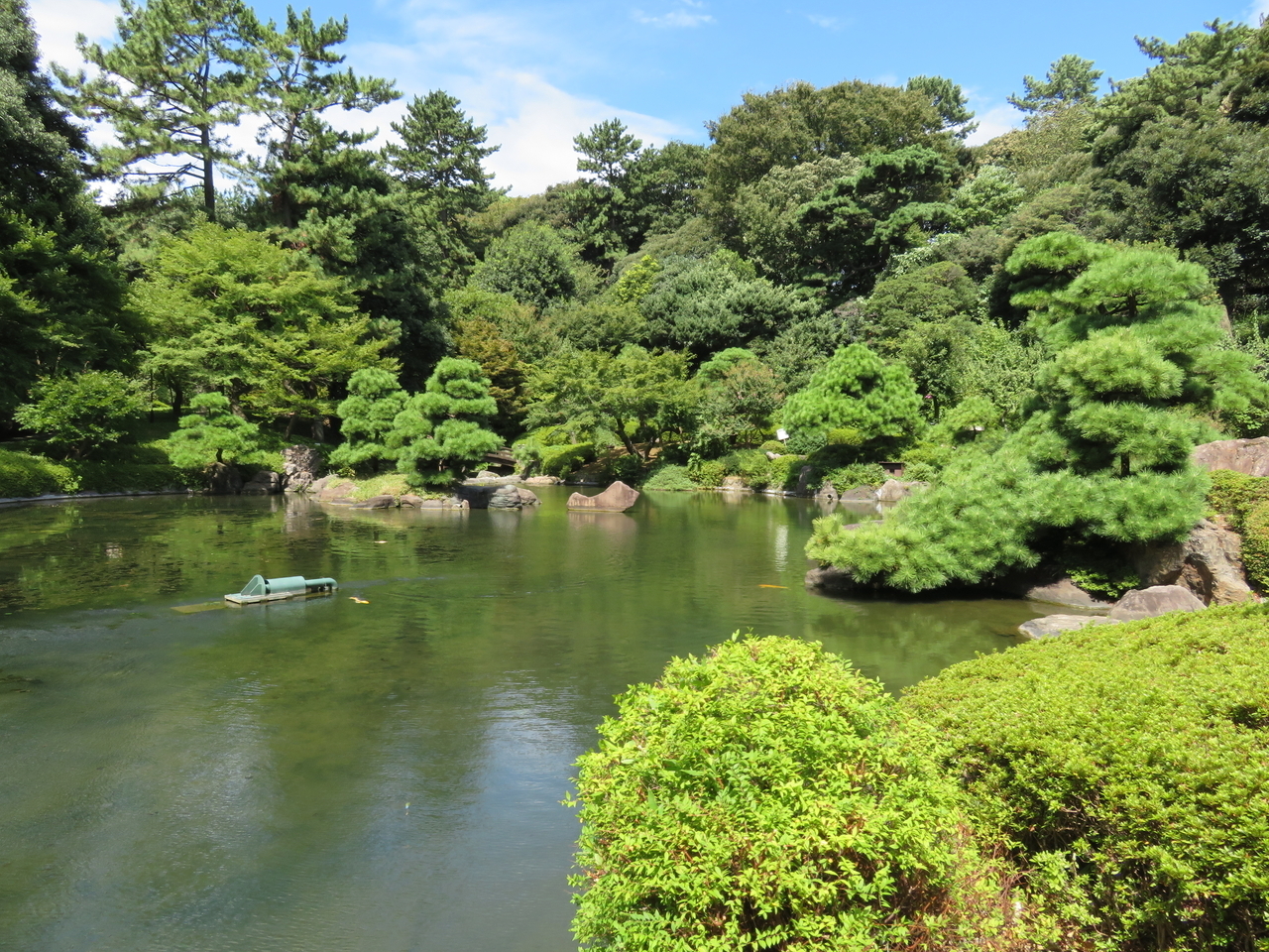 画像を等倍で表示します 画像