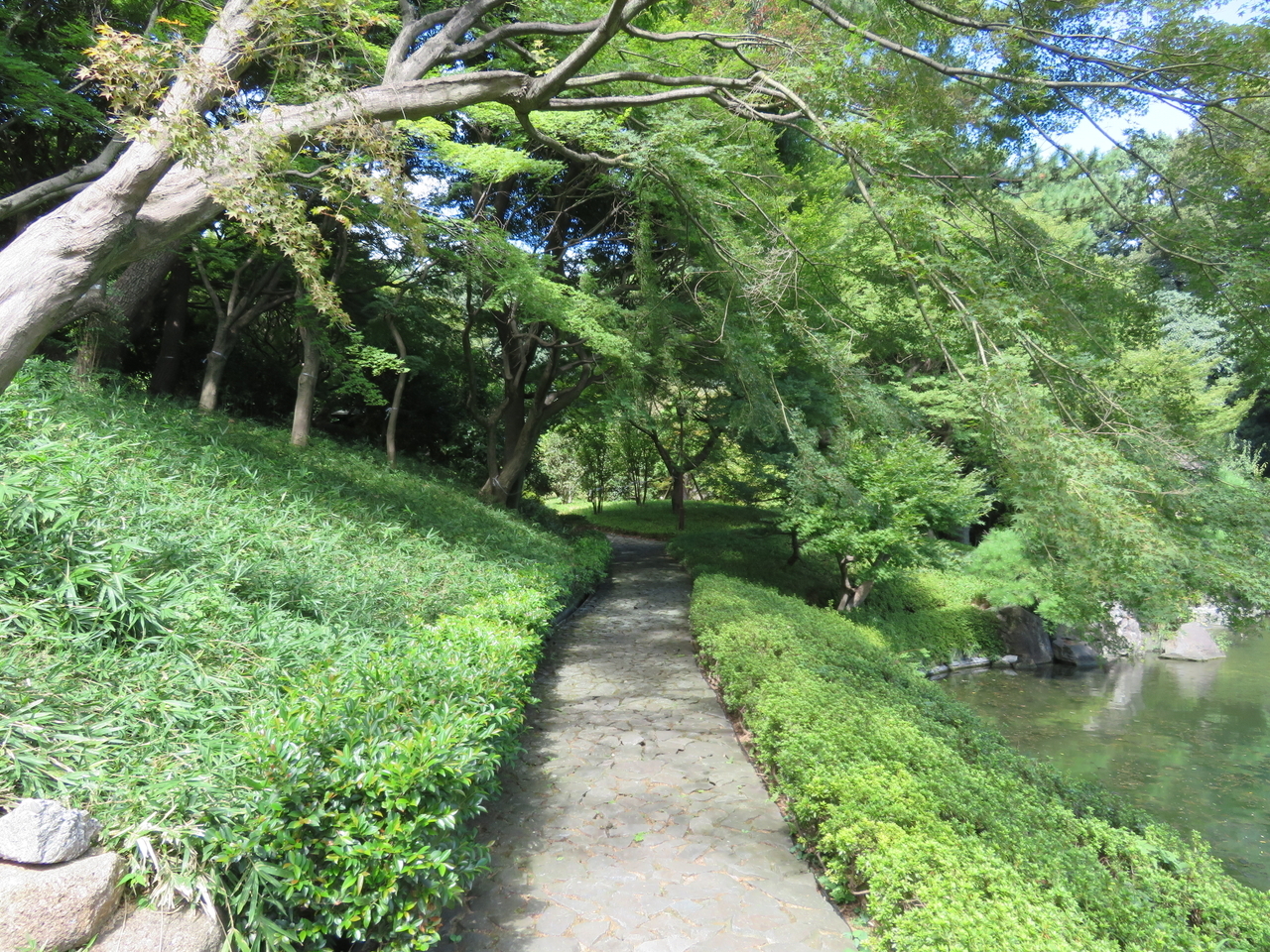 画像を等倍で表示します 画像