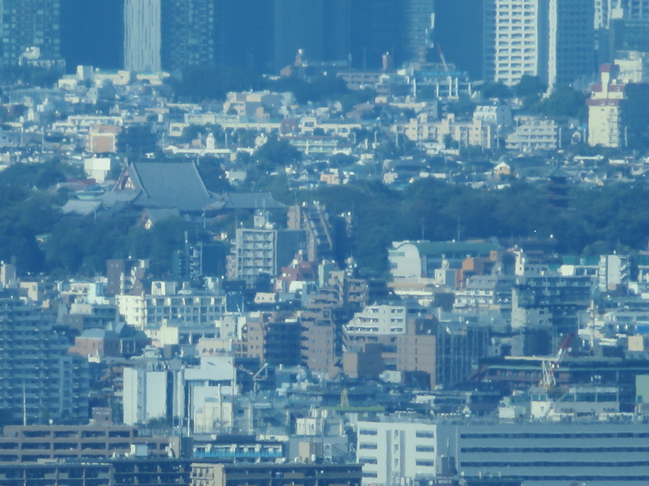 画像を等倍で表示します 画像