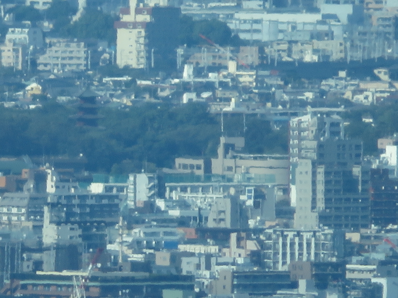 画像を等倍で表示します 画像