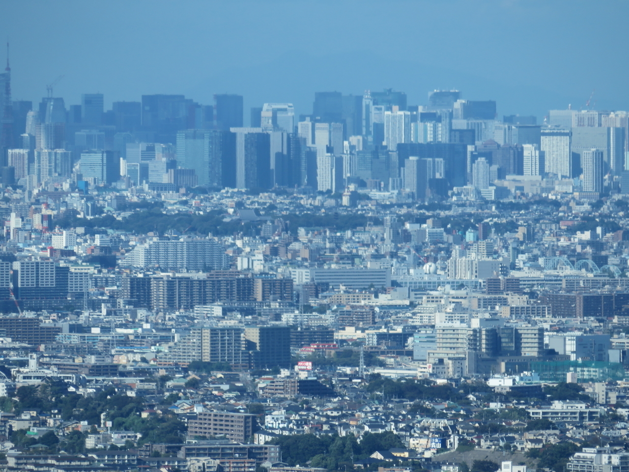 画像を等倍で表示します 画像