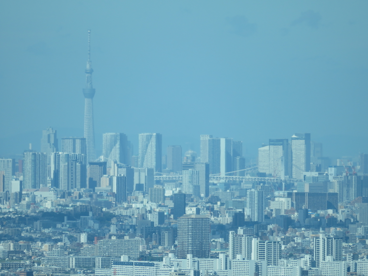 画像を等倍で表示します 画像