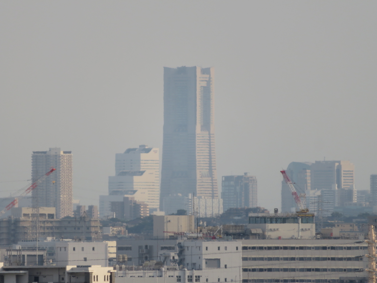 画像を等倍で表示します 画像