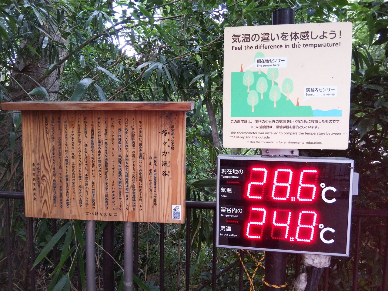 画像を等倍で表示します 画像