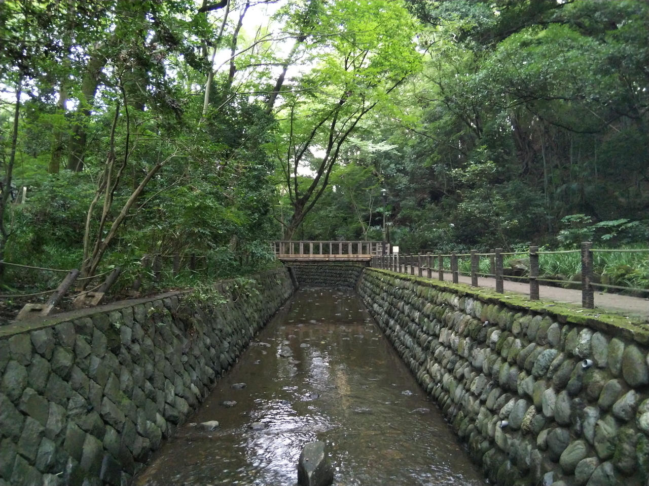 画像を等倍で表示します 画像