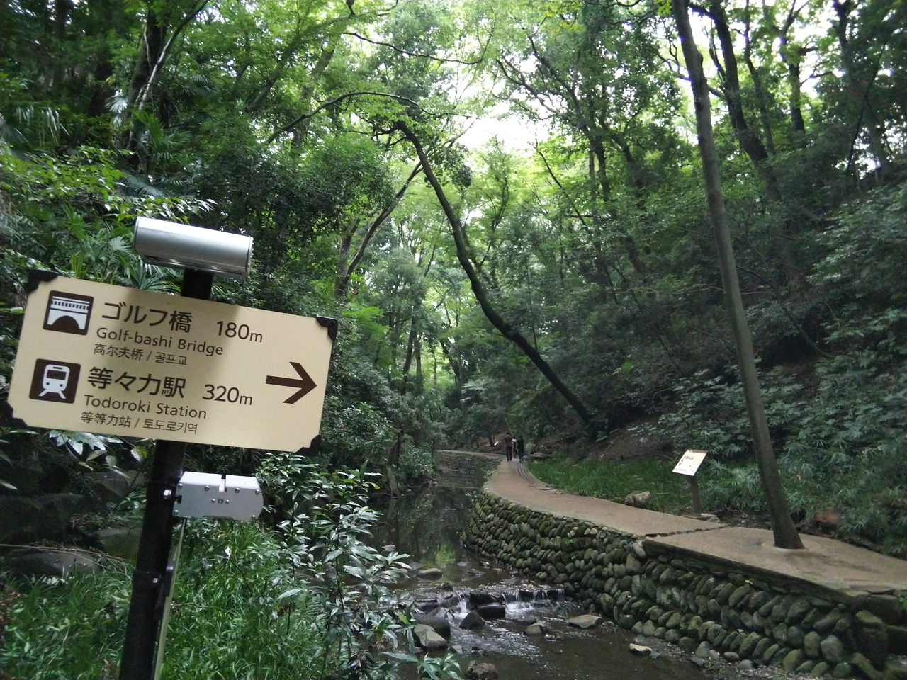 画像を等倍で表示します 画像