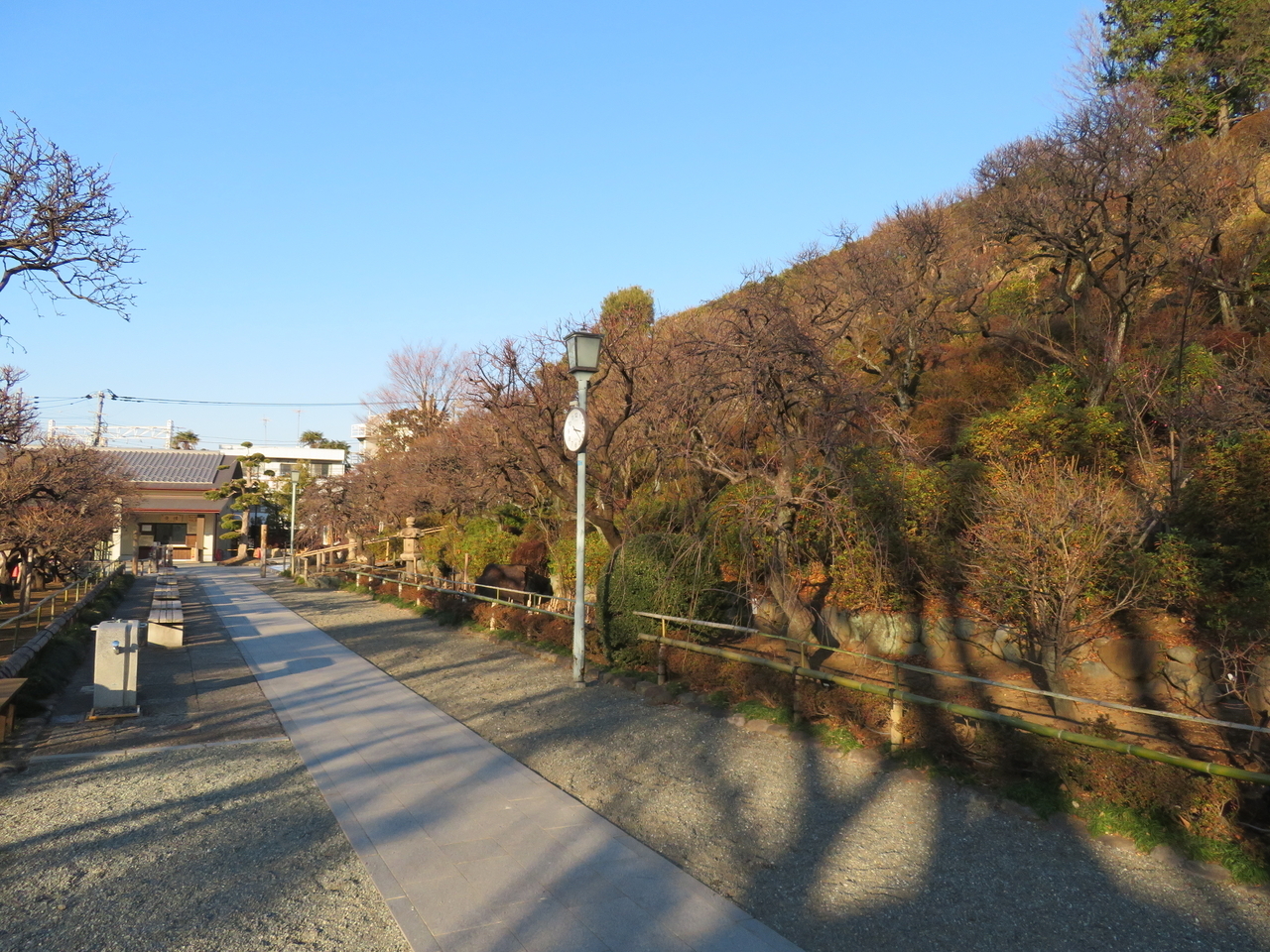 画像を等倍で表示します 画像