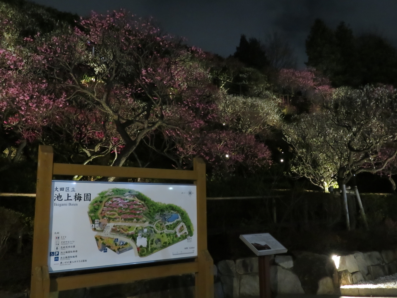 画像を等倍で表示します 画像