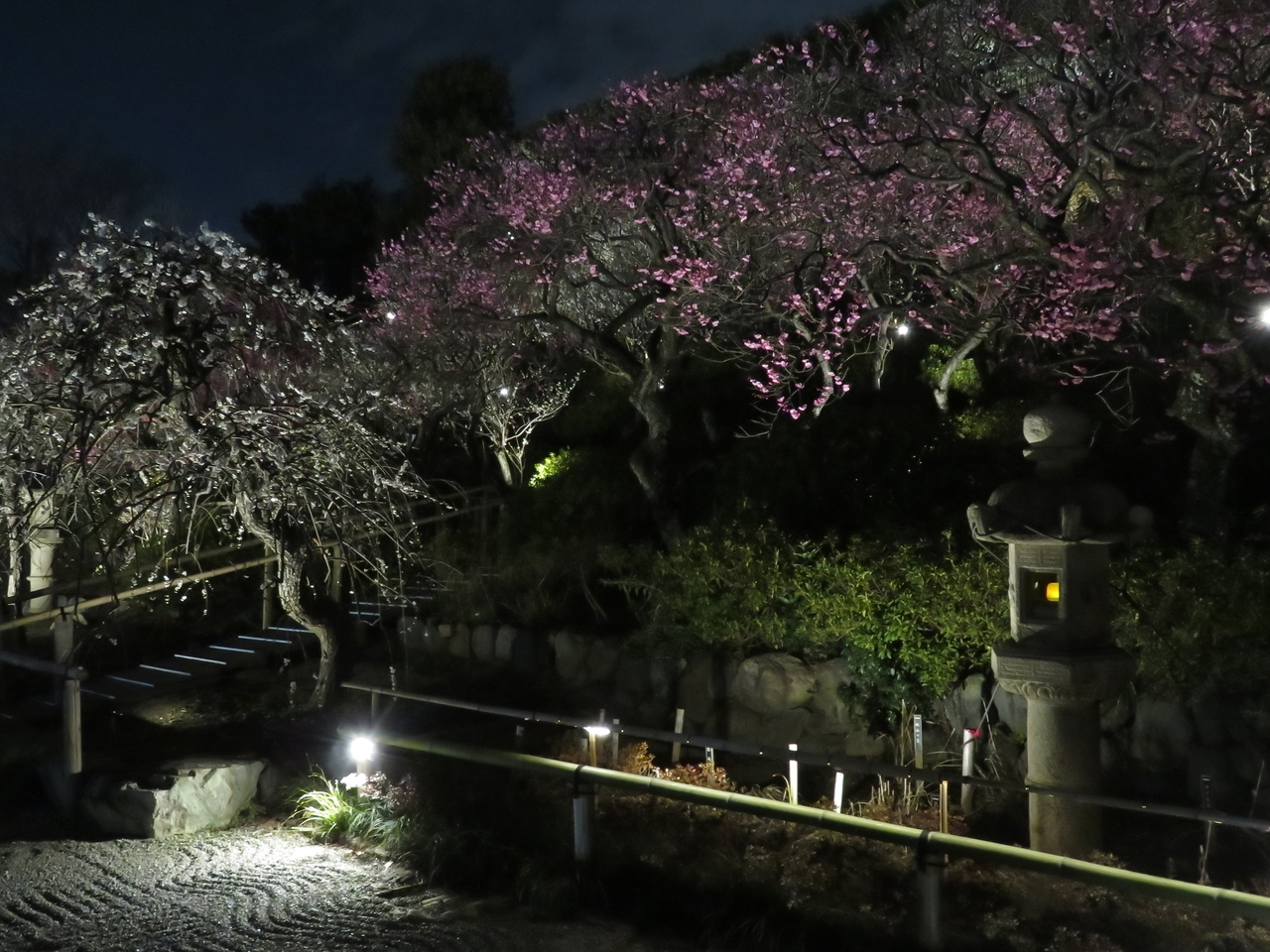 画像を等倍で表示します 画像