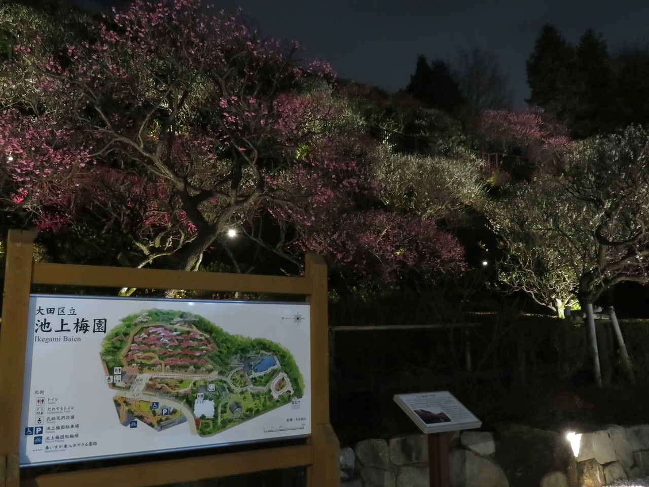 画像を等倍で表示します 画像