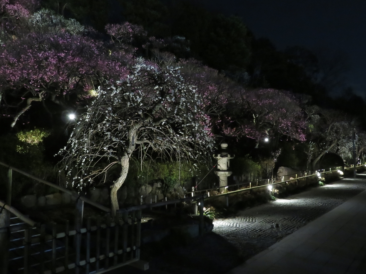 画像を等倍で表示します 画像