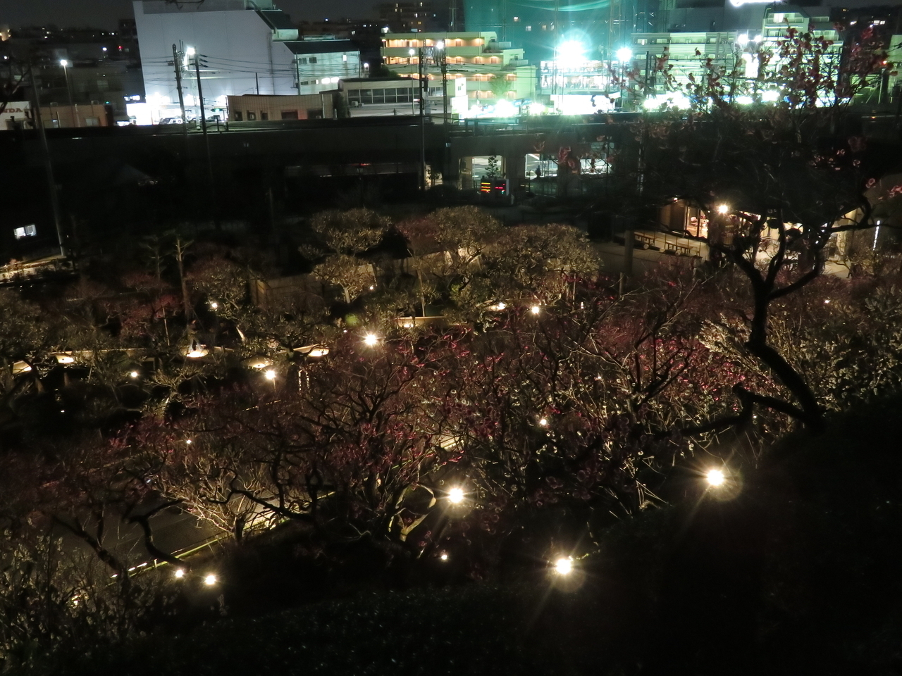 画像を等倍で表示します 画像