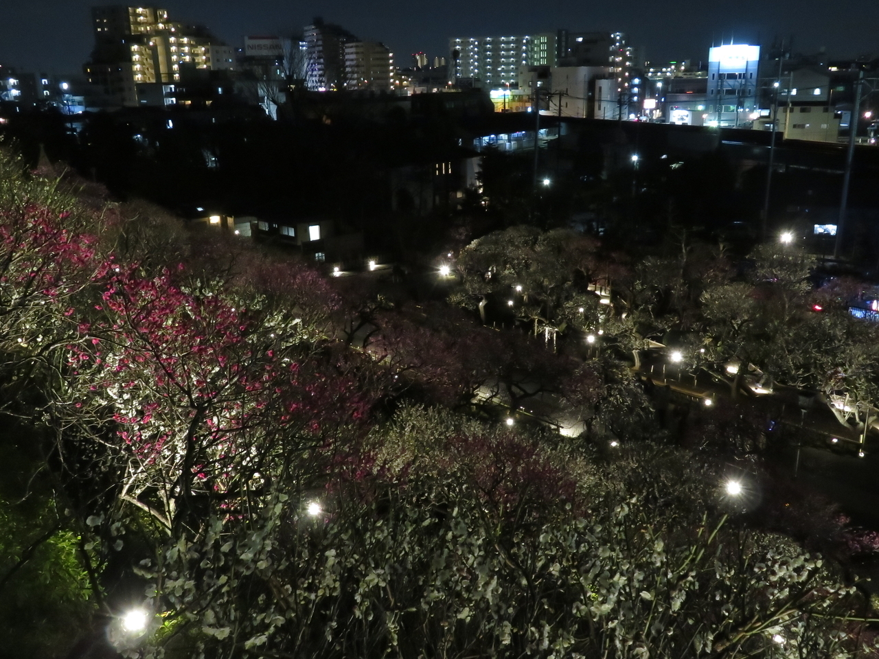 画像を等倍で表示します 画像