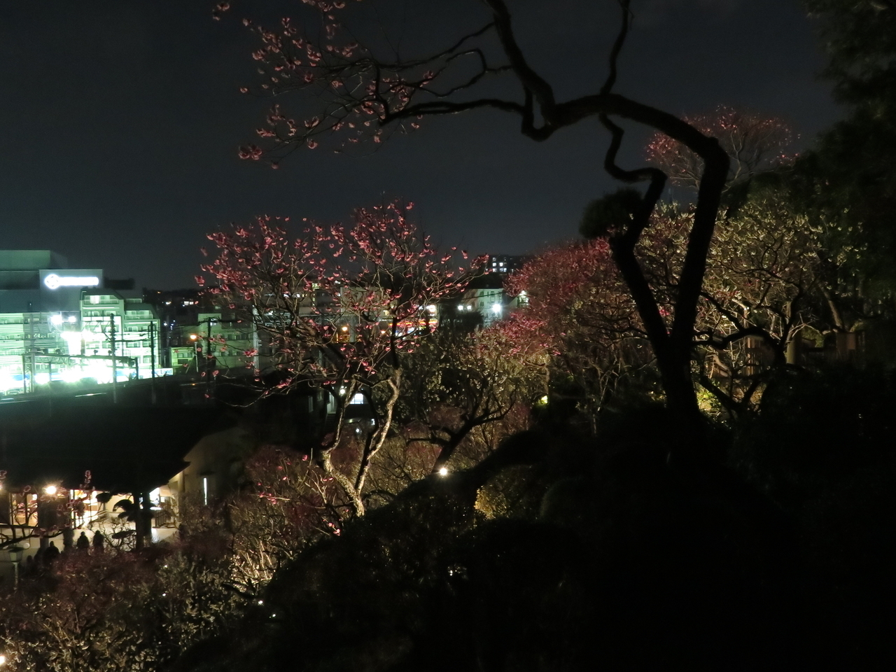 画像を等倍で表示します 画像