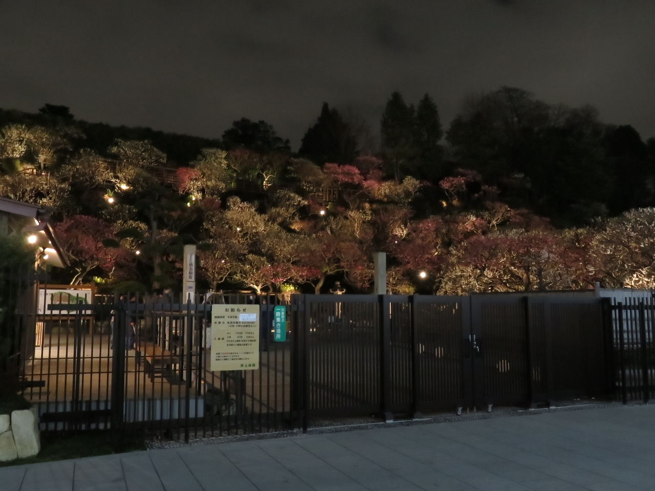 画像を等倍で表示します 画像