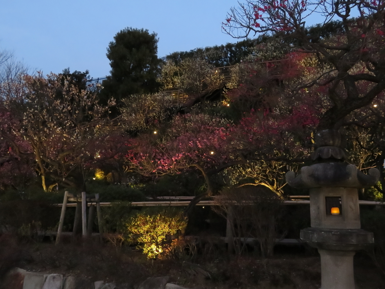 画像を等倍で表示します 画像