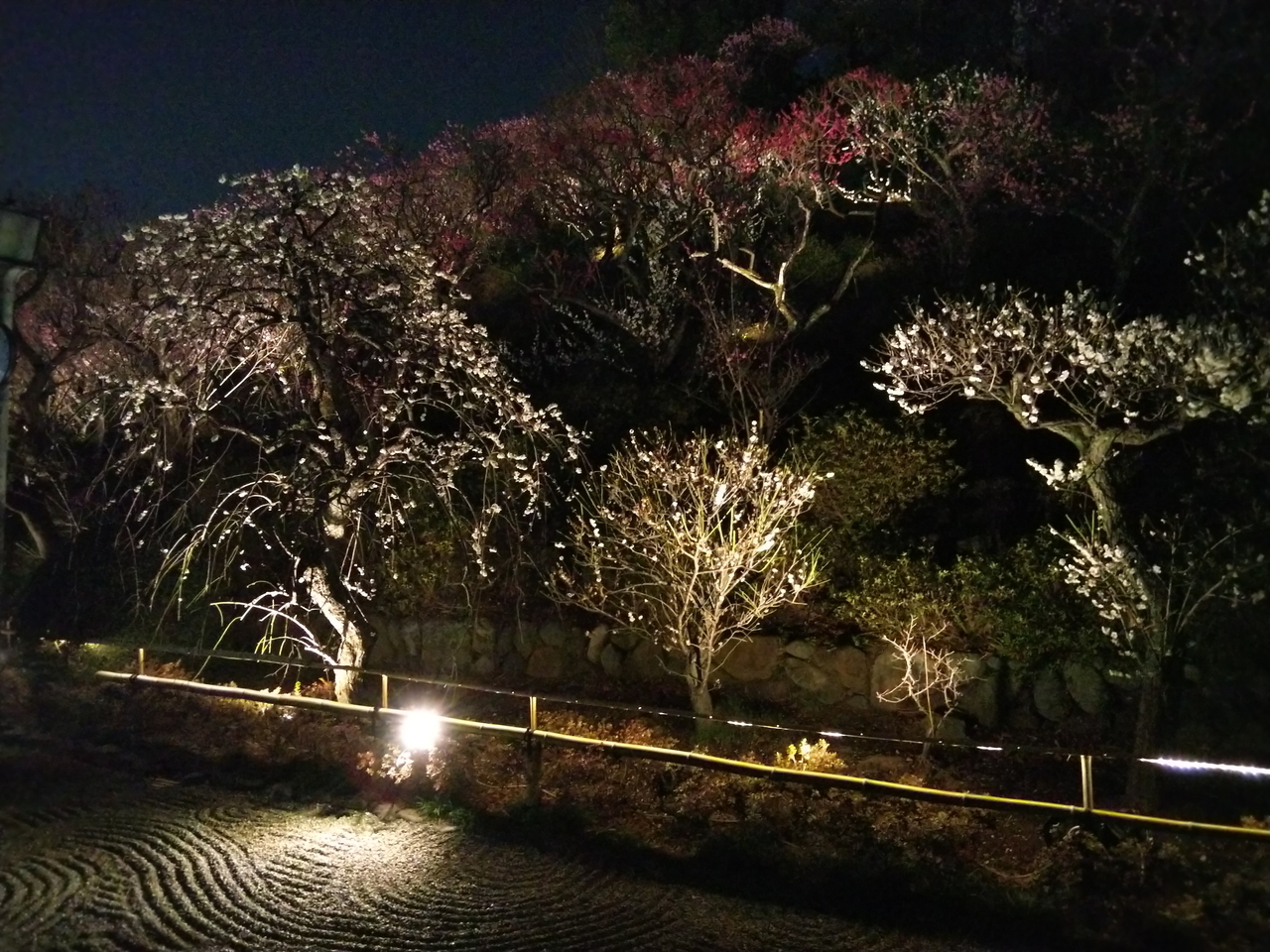 画像を等倍で表示します 画像