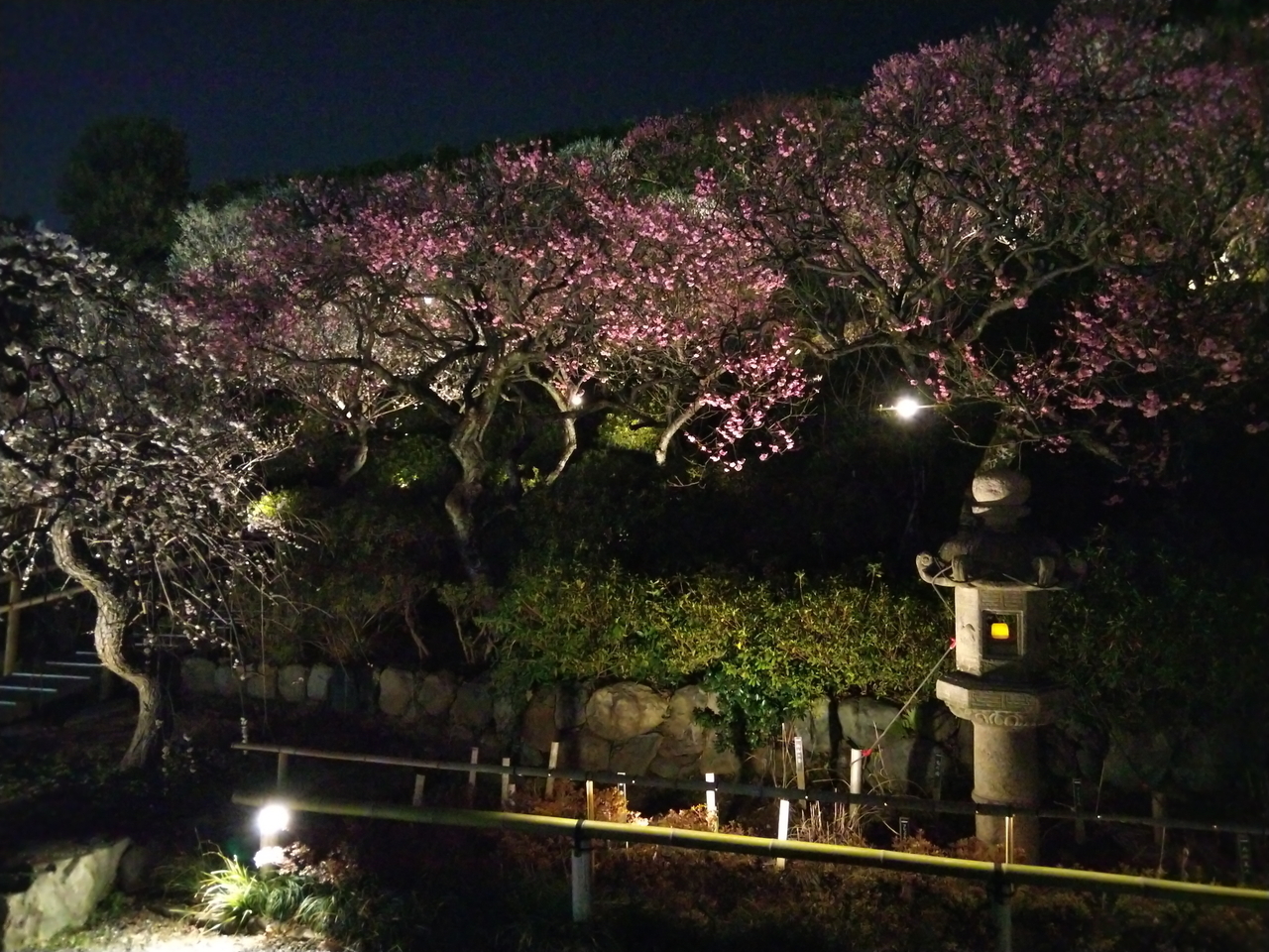 画像を等倍で表示します 画像