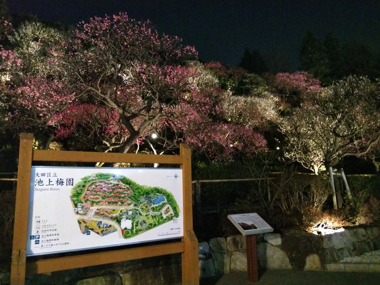 画像を等倍で表示します 画像
