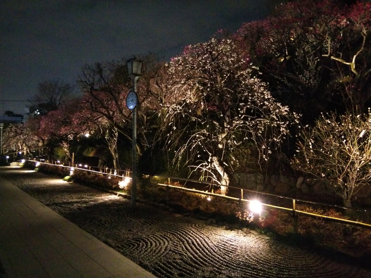 画像を等倍で表示します 画像