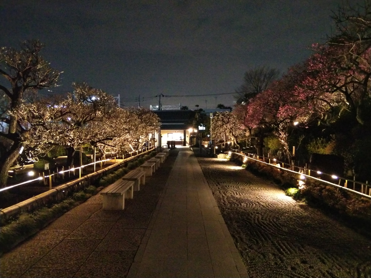 画像を等倍で表示します 画像