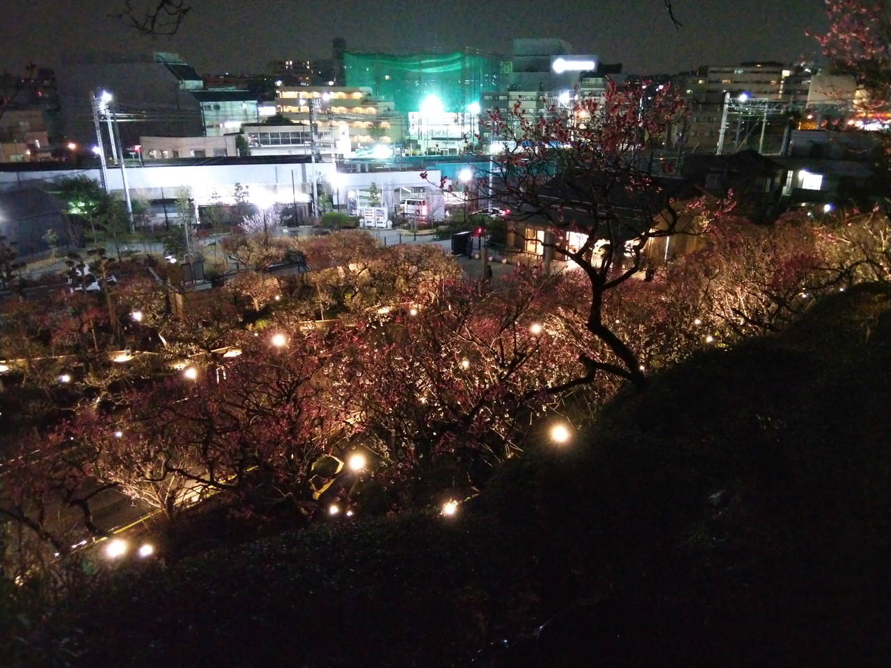 画像を等倍で表示します 画像