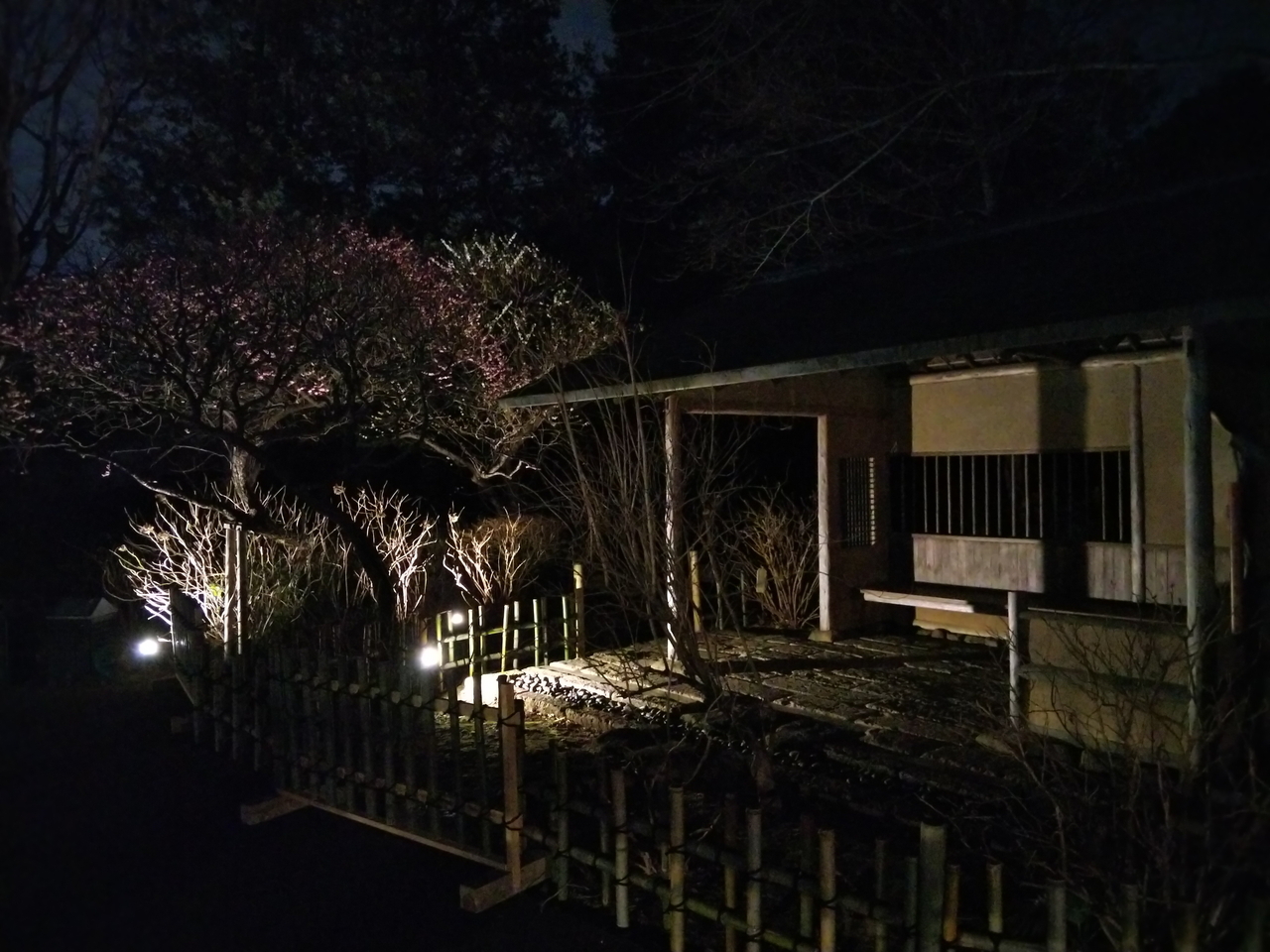 画像を等倍で表示します 画像