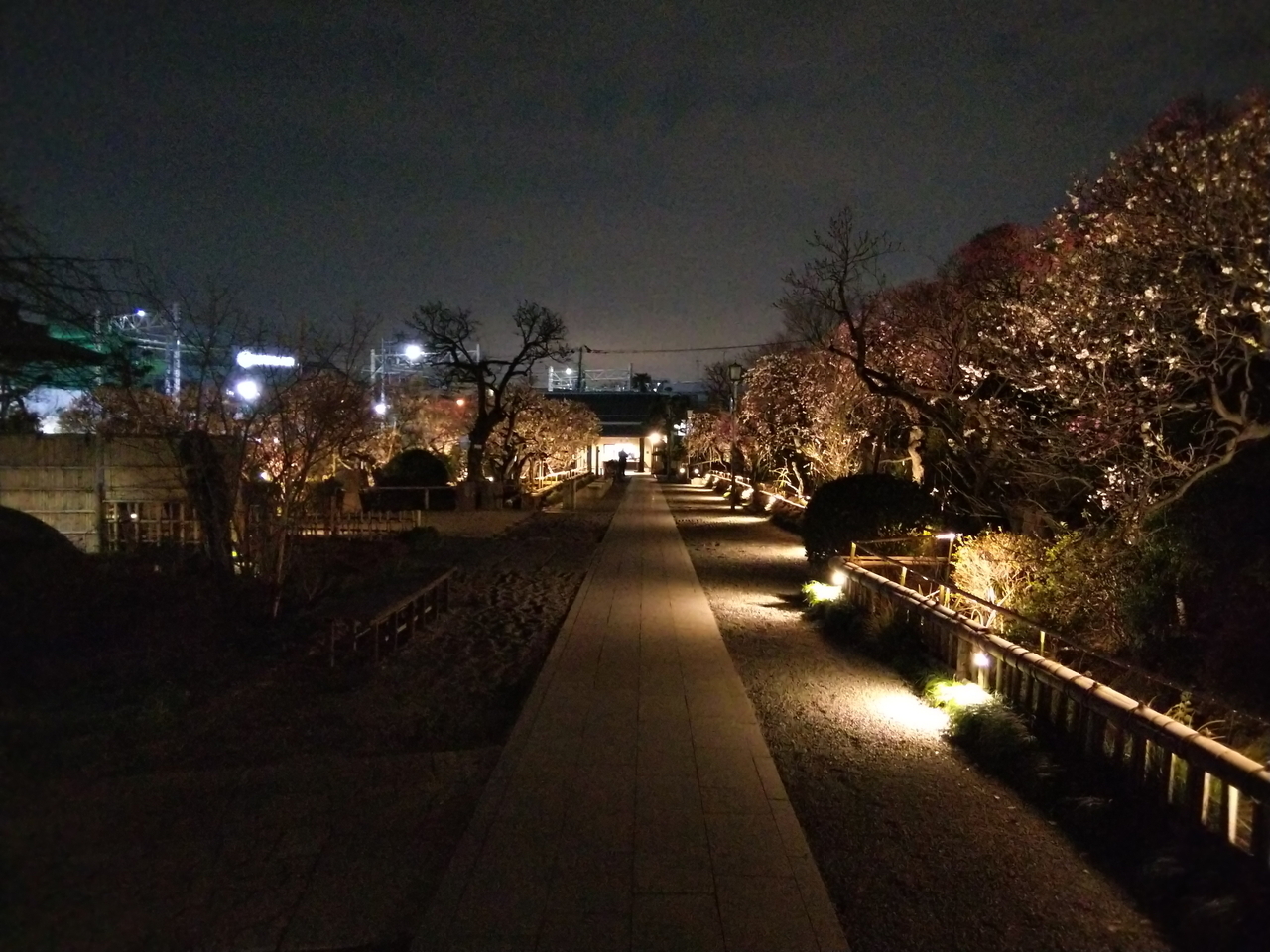 画像を等倍で表示します 画像