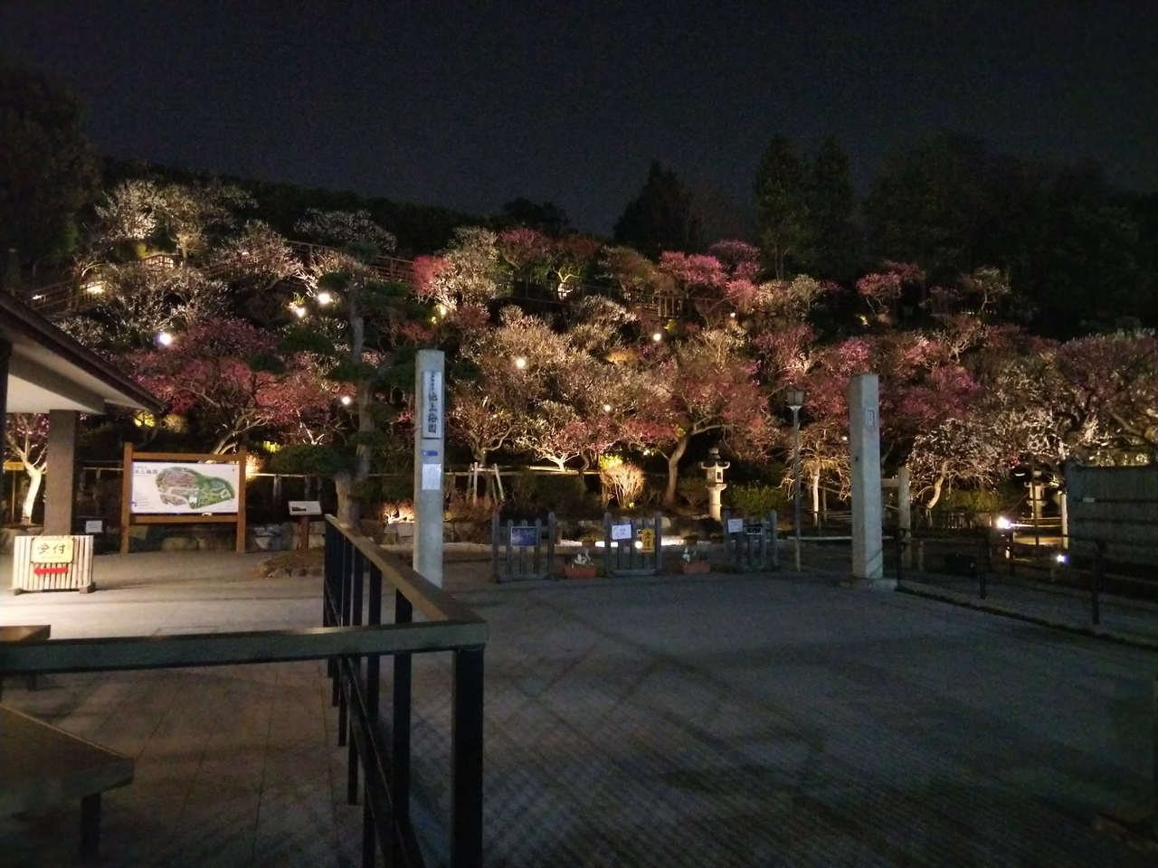 画像を等倍で表示します 画像