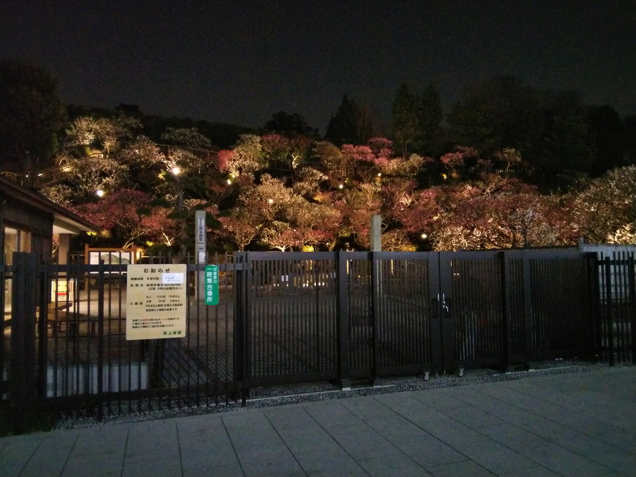 画像を等倍で表示します 画像