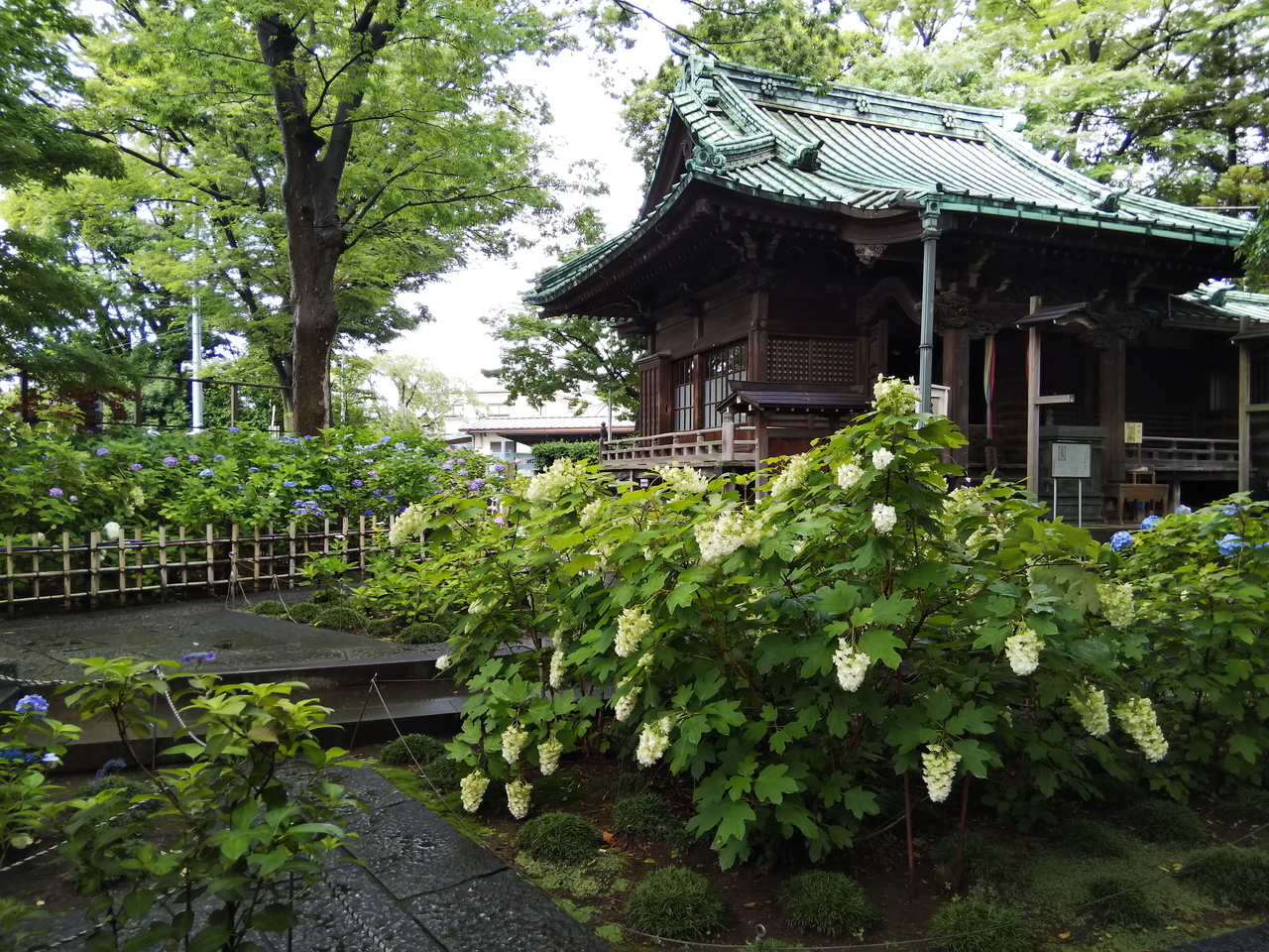 画像を等倍で表示します 画像