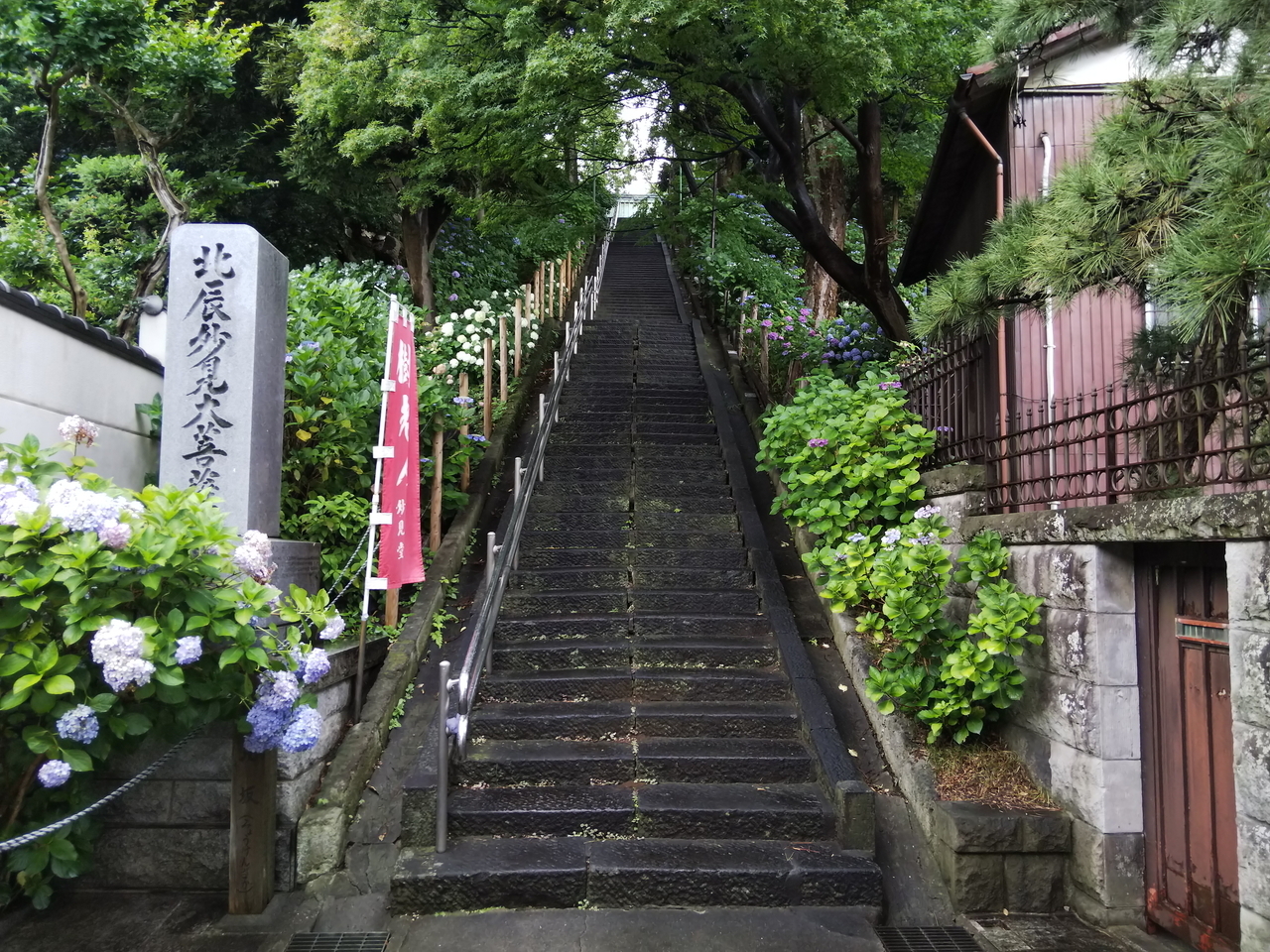 画像を等倍で表示します 画像