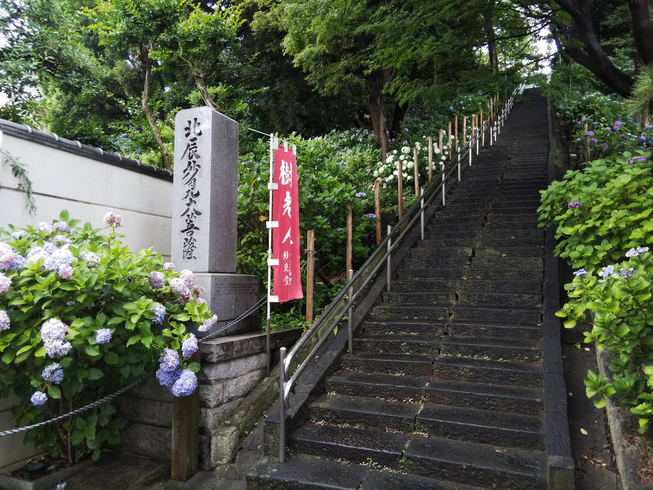 画像を等倍で表示します 画像