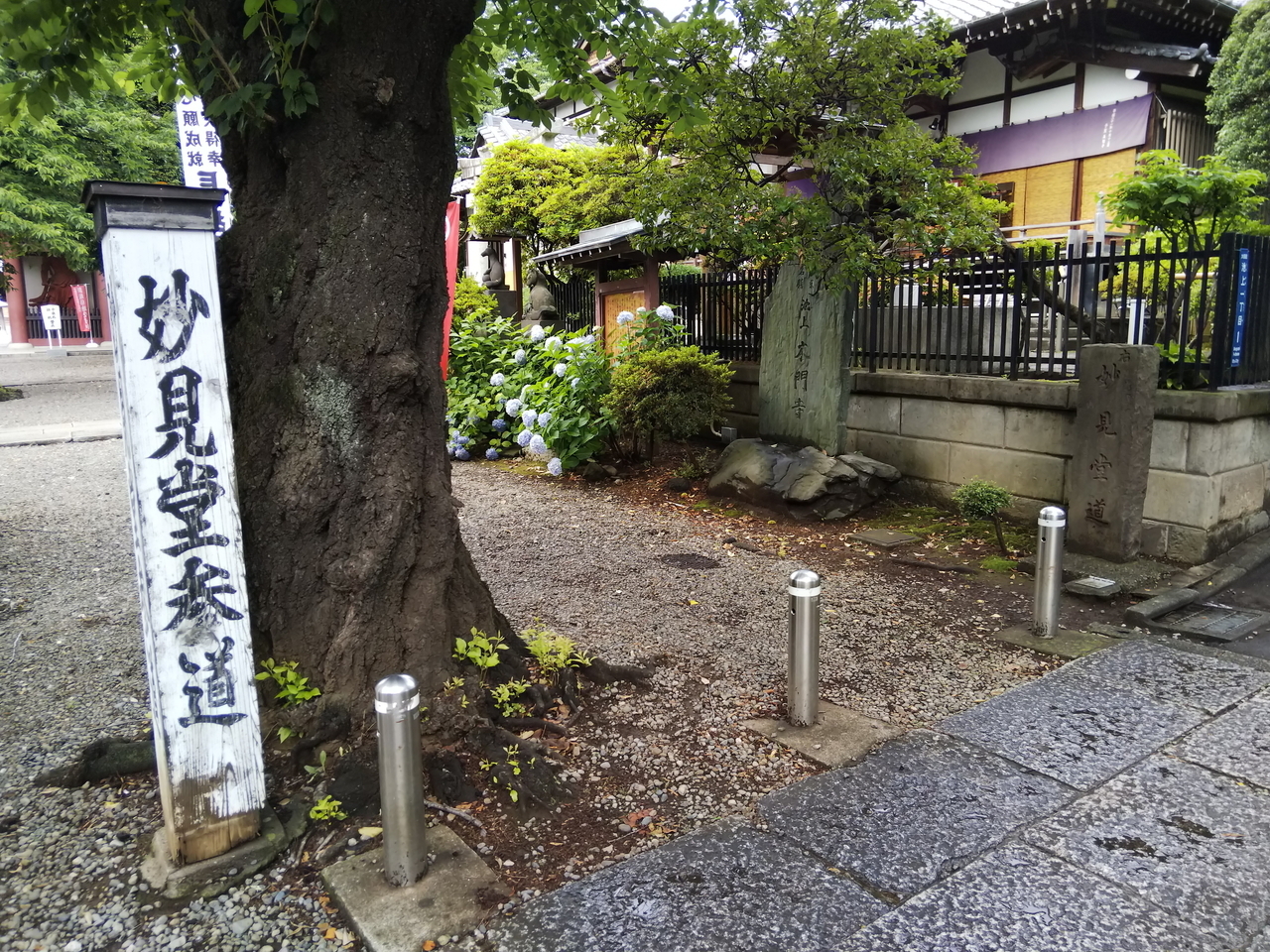 画像を等倍で表示します 画像